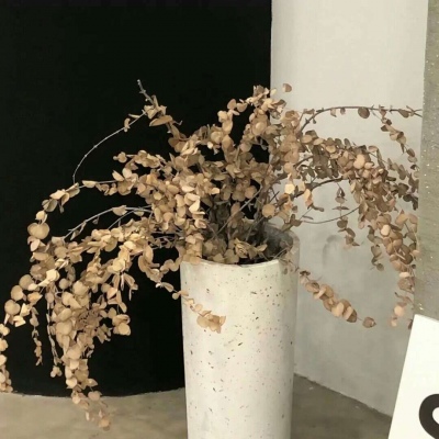 即墨FurryQQ群介绍